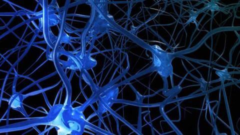 New insights in pathological mechanism that causes dysfunctional synapses