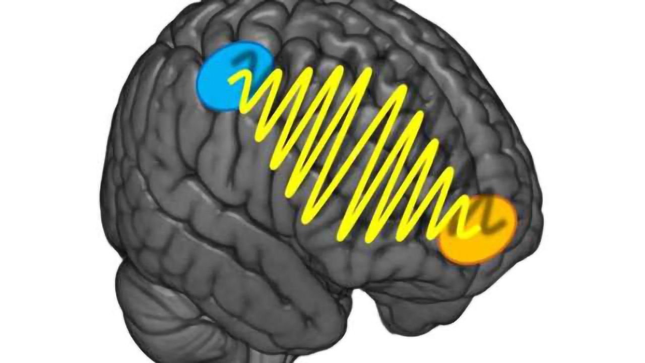Brain waves behind indecisiveness revealed