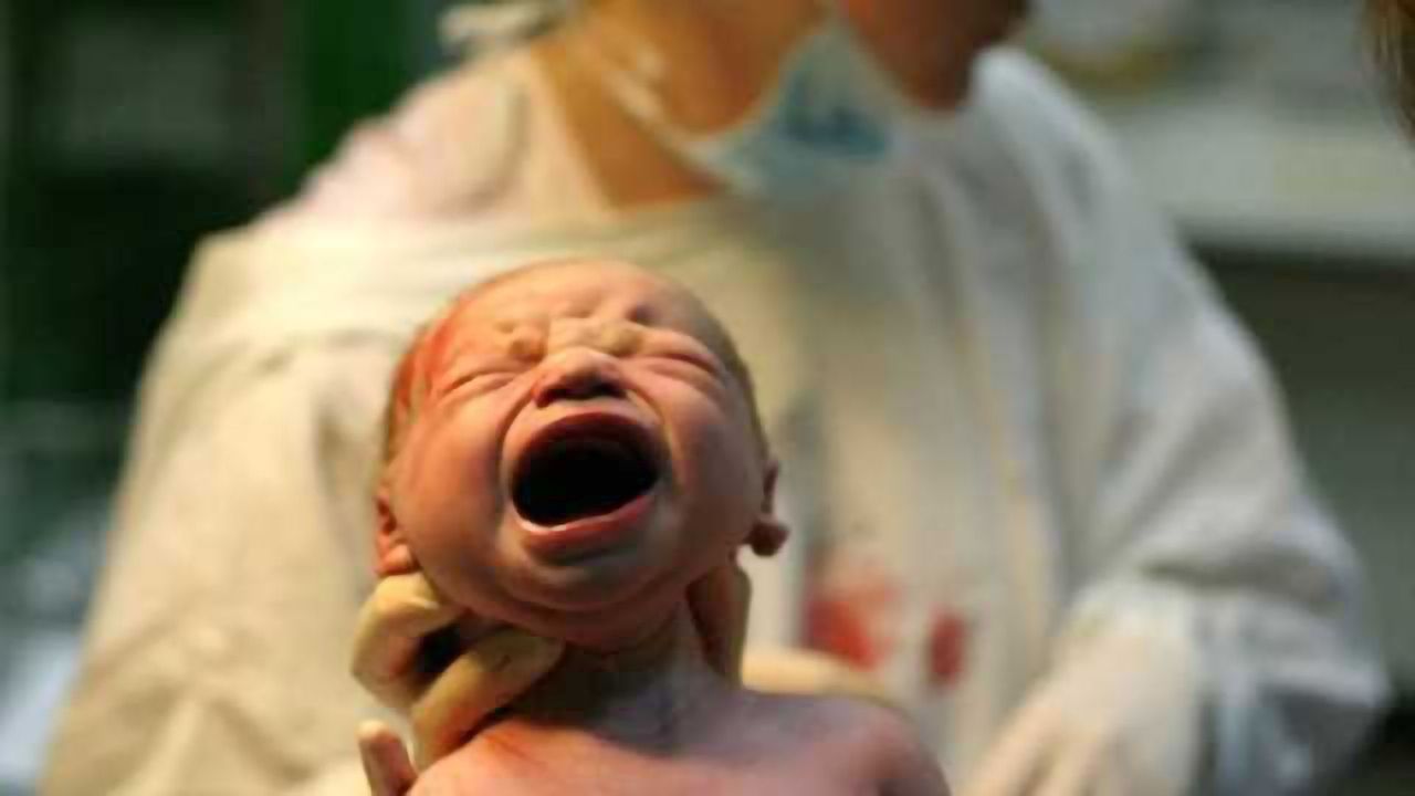 Brief postnatal blindness triggers long-lasting reorganization in the brain