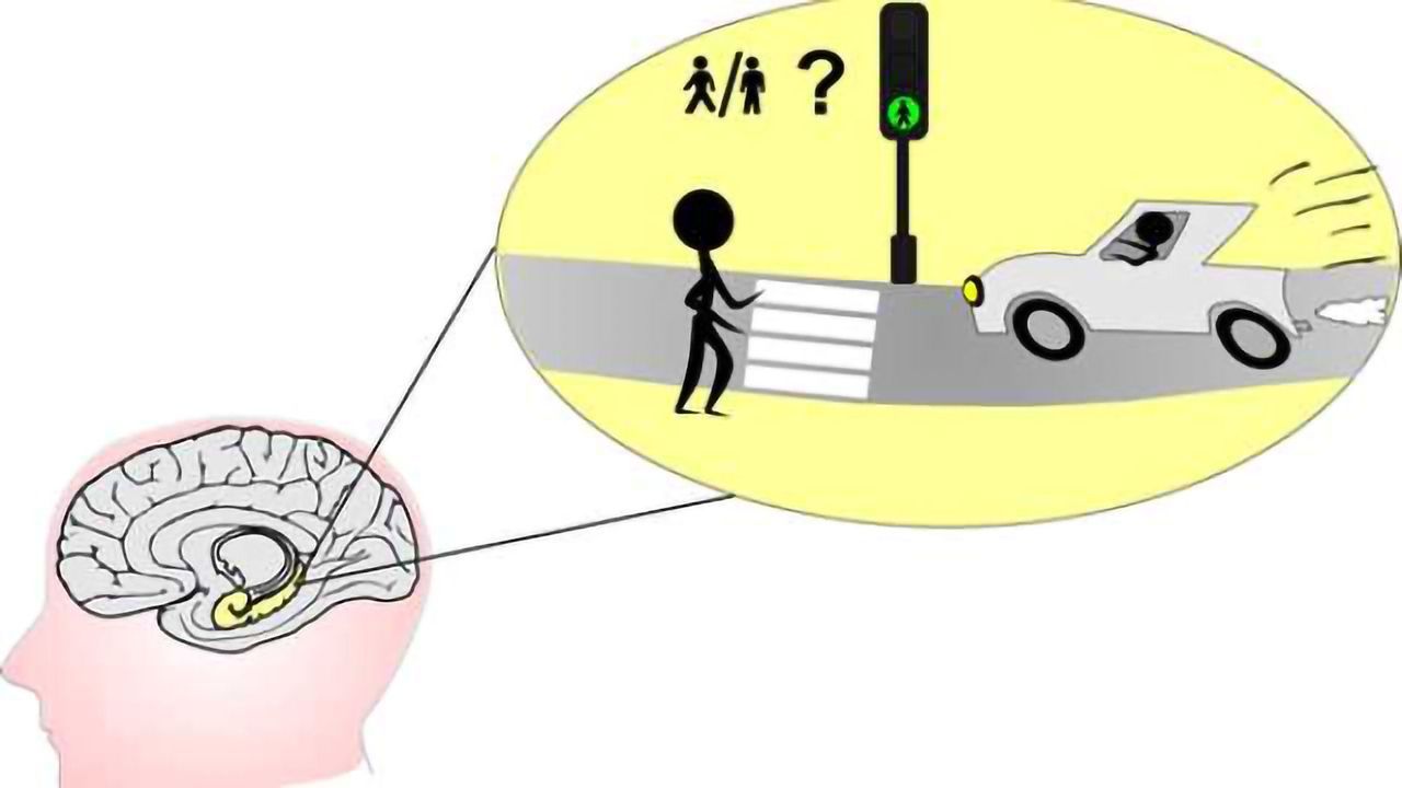 "Memory region" of the brain also involved in conflict resolution