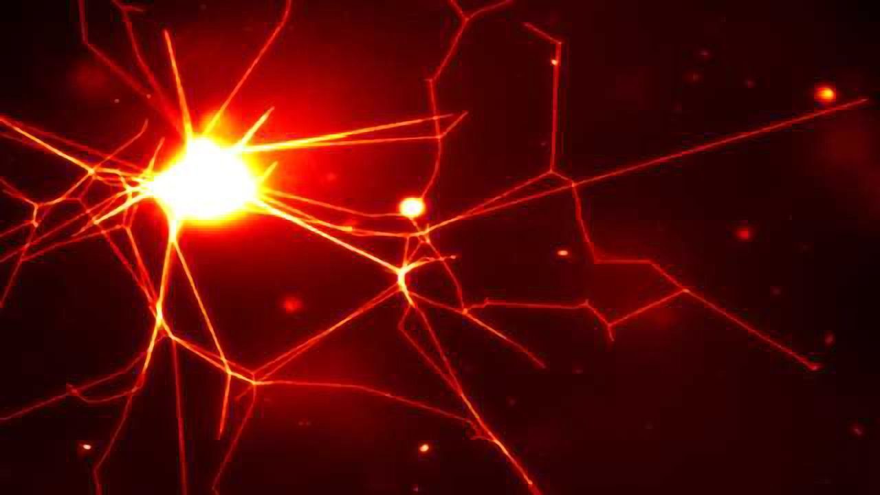 Biological tools create nerve-like polymer network