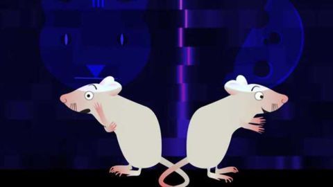 Surprised? Cholinergic neurons send brain-wide broadcasts enabling us to learn from the unexpected