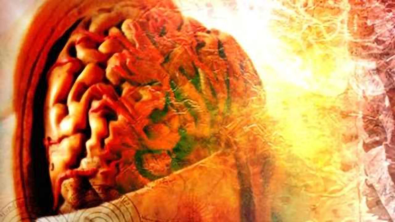 Differences in brain structure and memory suggest adolescents may not ‘grow out of’ ADHD