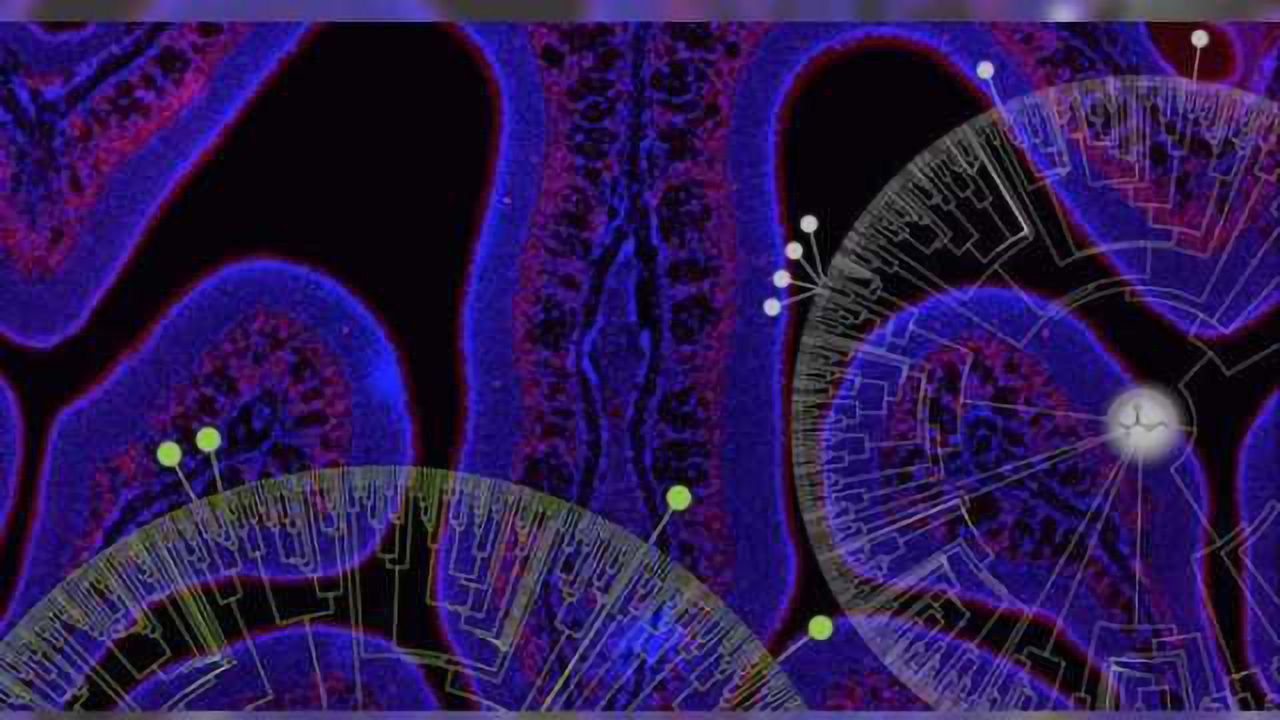 Deciphering the olfactory receptor code