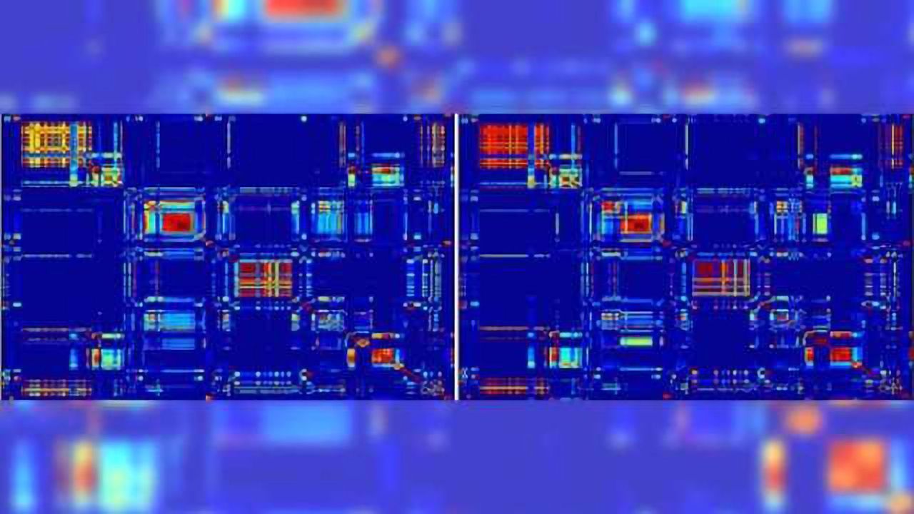 Researchers help identify the neural basis of multitasking