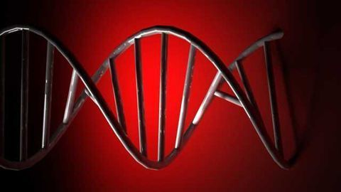 Early warning gene signature for Alzheimer's