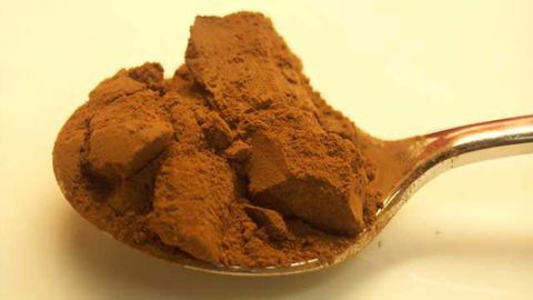 Exploring cocoa as novel dietary source for the prevention of cognitive deterioration in Alzheimer’s disease