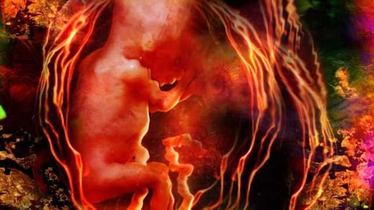 New studies show no long term effects of antidepressant use during pregnancy, but risk of significant blood loss during childbirth is increased