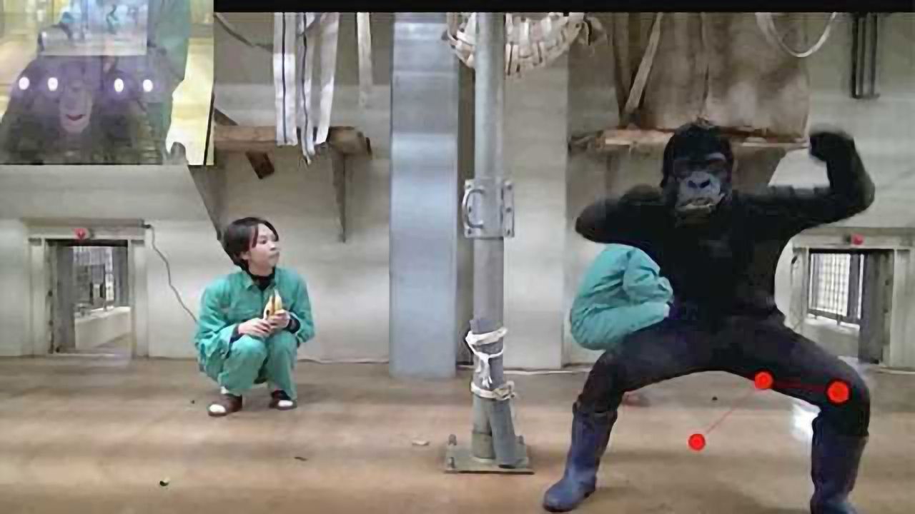 Seen Once, Never Forgotten --You don't have to be human to like a good horror flick, Kyoto scientists show