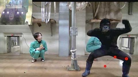Seen Once, Never Forgotten --You don't have to be human to like a good horror flick, Kyoto scientists show