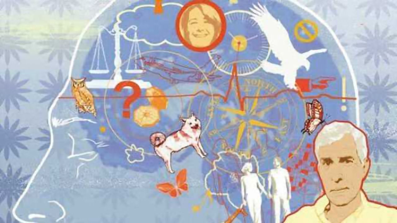 Increased activity in older brains may point to new avenues for treating memory loss