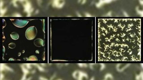 Liquid crystals show potential for detection of neuro-degenerative disease