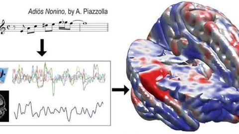 Reproducible neuroscience with real tango: Consonant results resonate in the brain