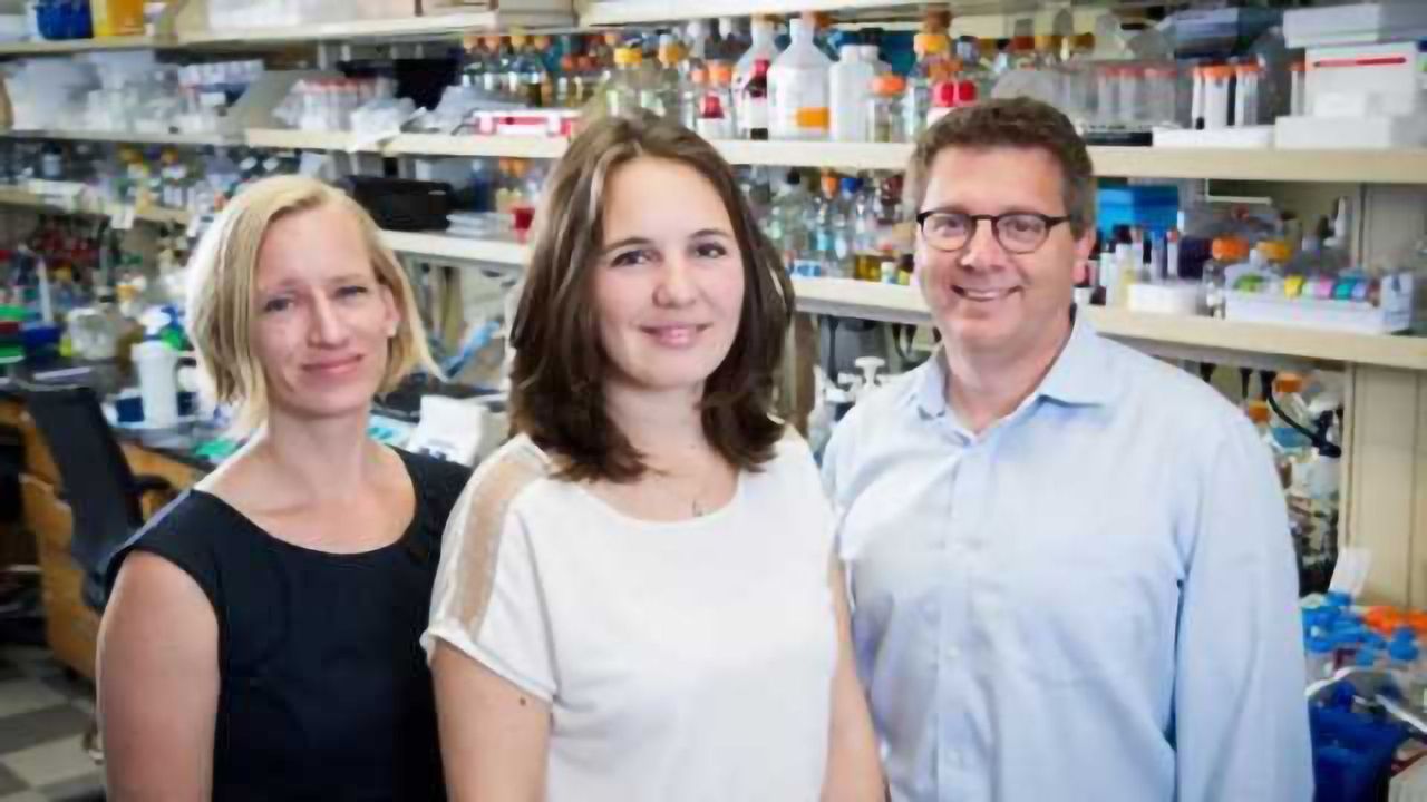 Newly identified mechanism solves enduring mystery of key element of cellular organization