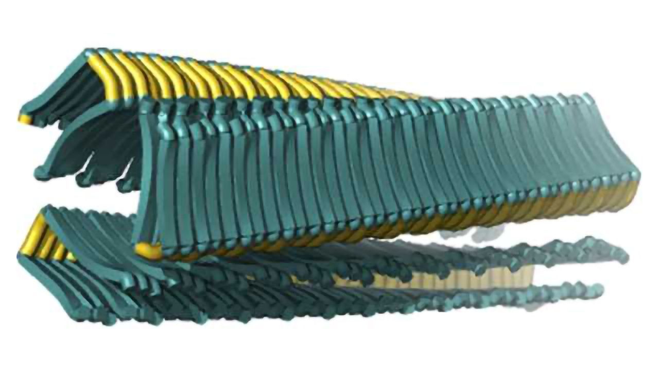 Wrangling proteins gone wild