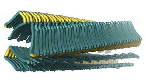 Wrangling proteins gone wild