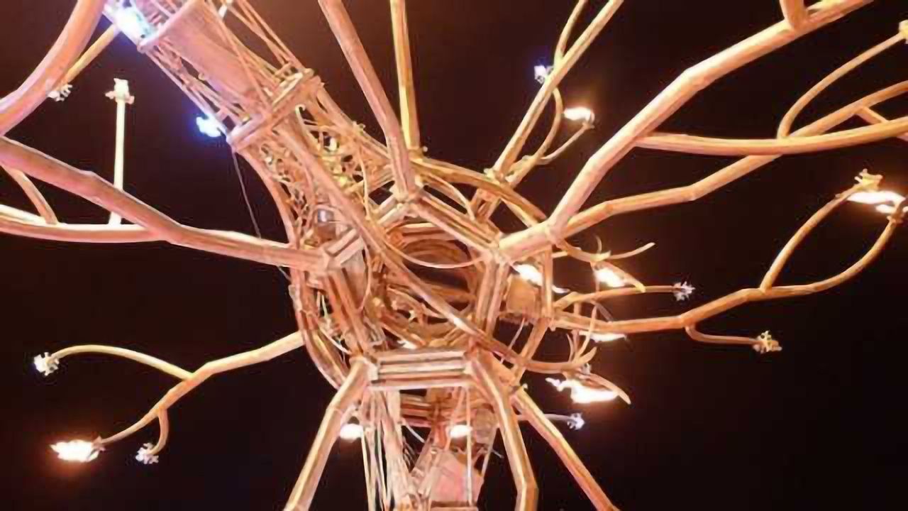 Study examines scale of gene mutations in human neurons