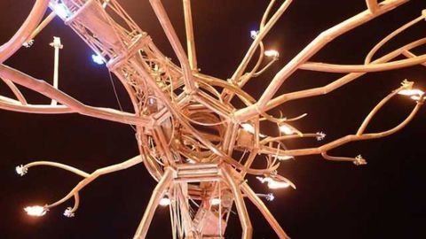 Study examines scale of gene mutations in human neurons