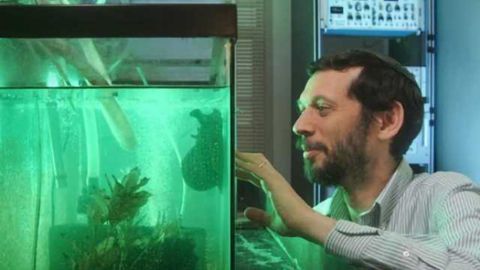 Sensory feedback shapes individuality to provide equal space for behavioral excellence