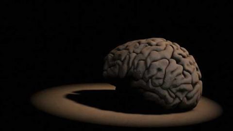 How the brain recognizes objects