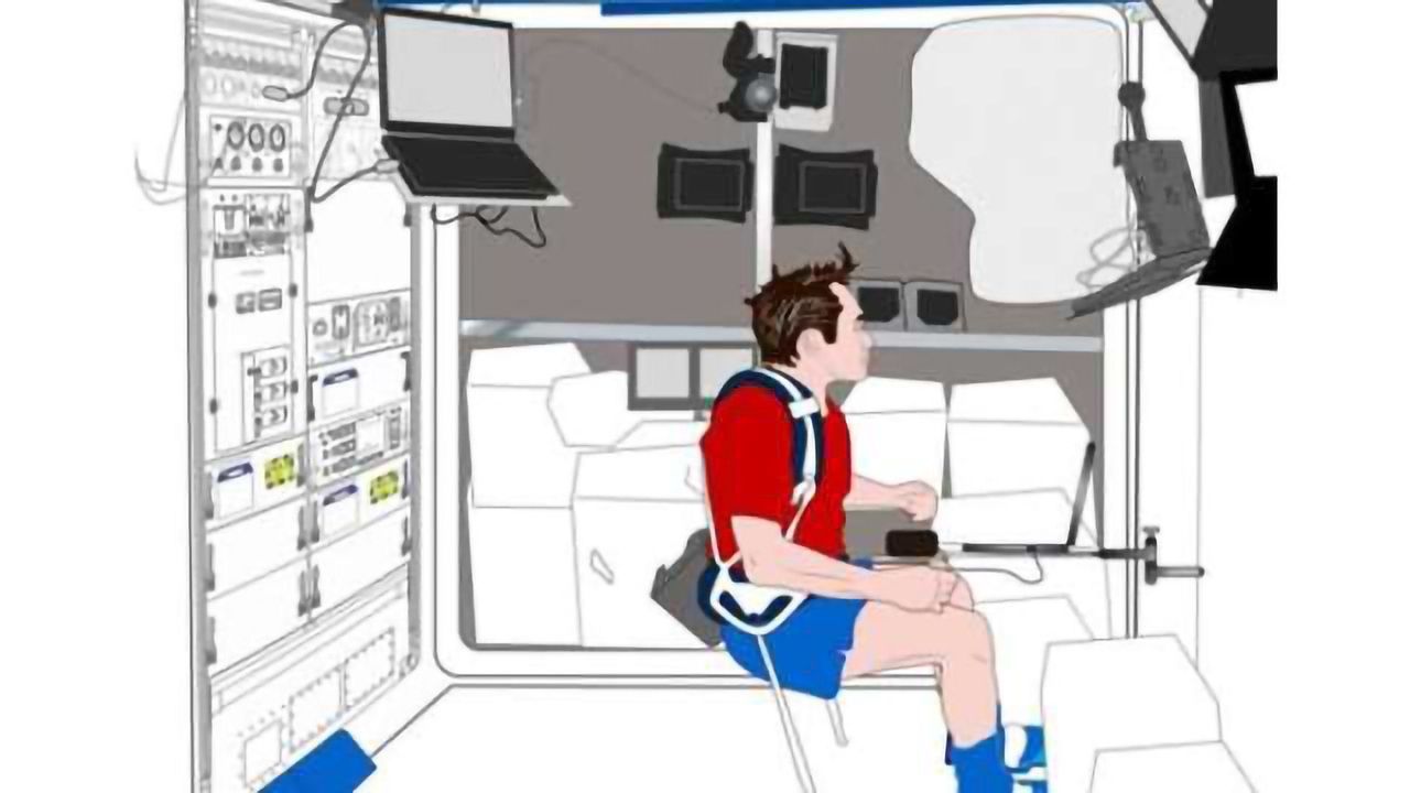 What happens when your brain can't tell which way is up?