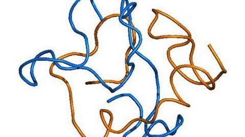 Study findings challenge a scientific principle about amyloid beta