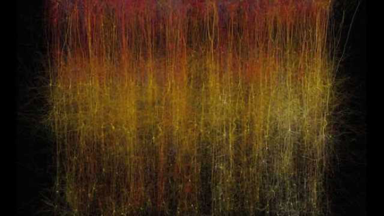 Researchers build a digital piece of brain