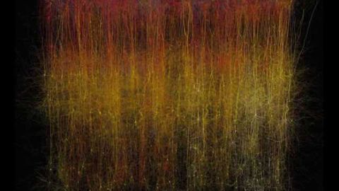 Researchers build a digital piece of brain