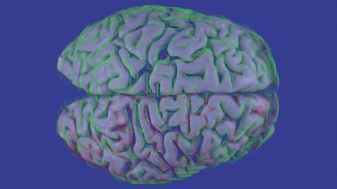 Suppression of epigenetic brain proteins induces autism-like syndrome
