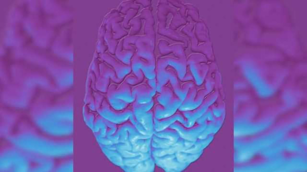 Neuroimaging method to better identify epileptic lesions developed