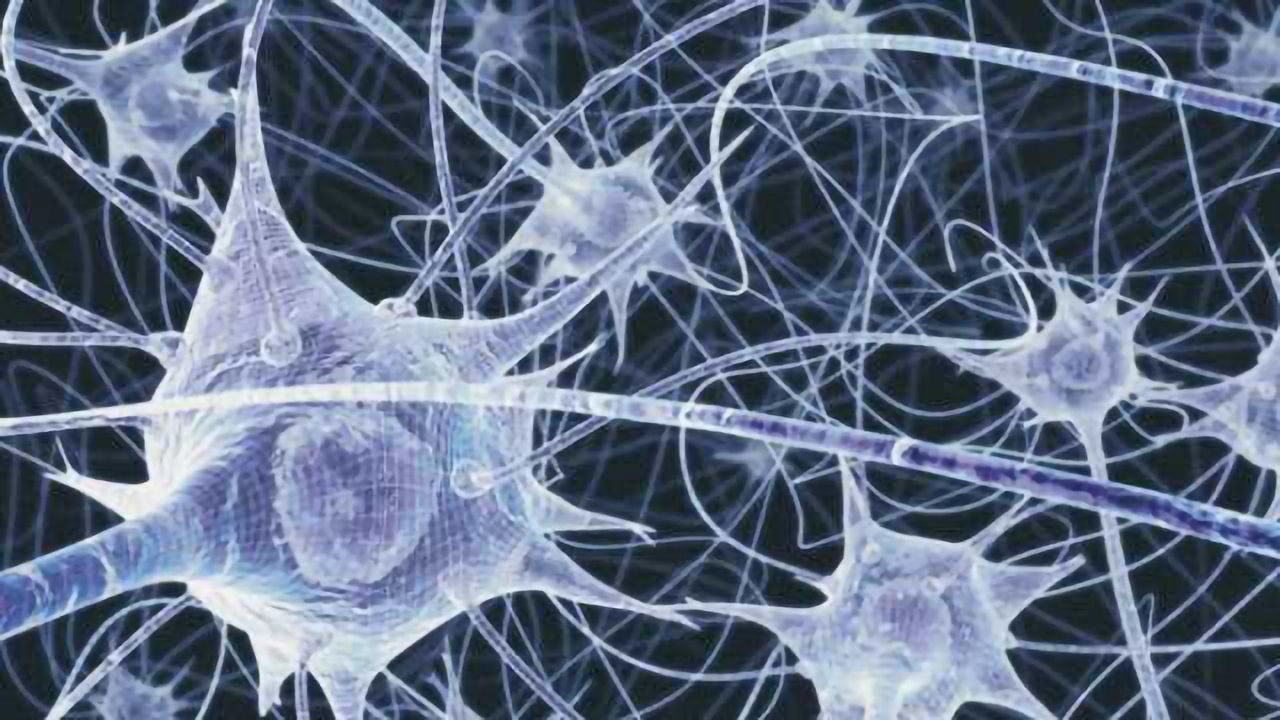 New mathematical method reveals structure in neural activity in the brain