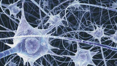 New mathematical method reveals structure in neural activity in the brain