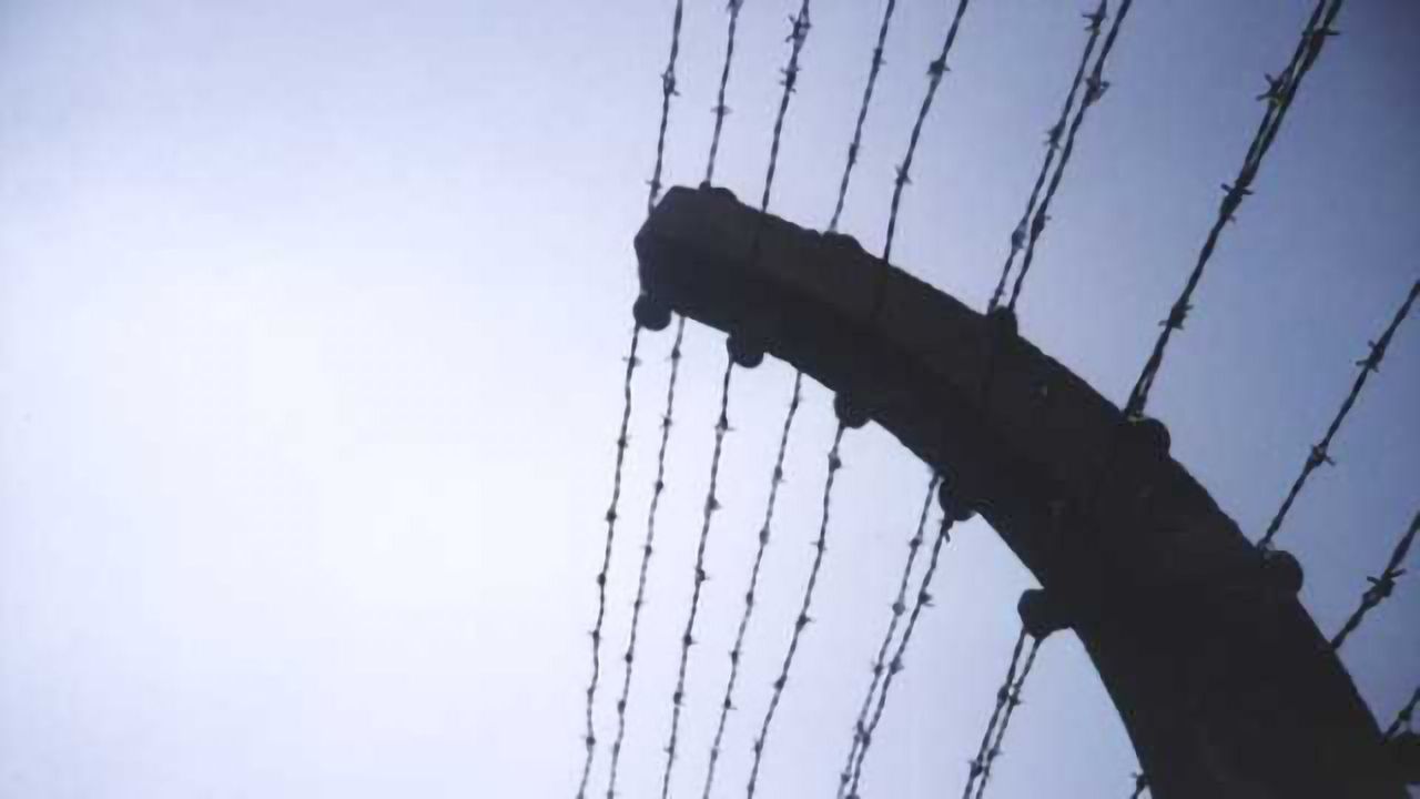 Holocaust survivors' memories help researchers map brain circuitry for gratitude