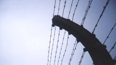 Holocaust survivors' memories help researchers map brain circuitry for gratitude