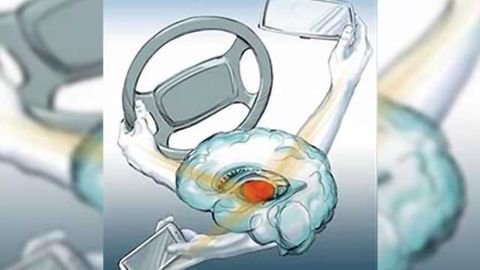 Study in mice shows how brain ignores distractions