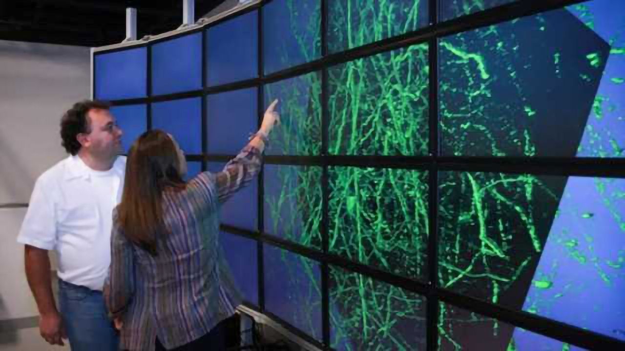 3-D map of the brain: Software developed to augment our understanding of neuronal networks