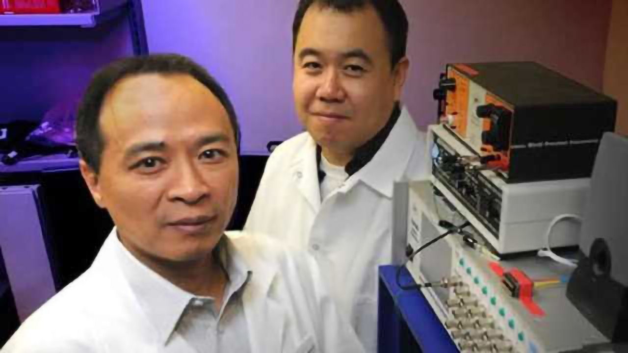 The power of 2 may help explain brain design
