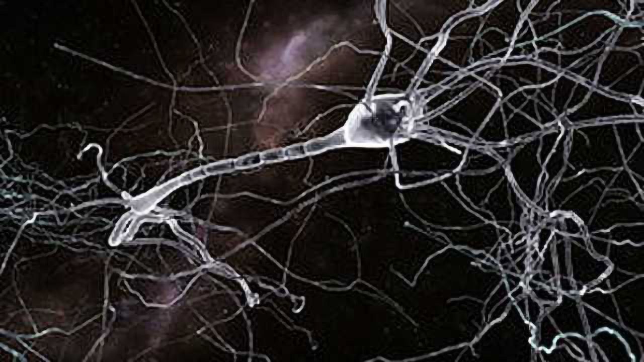 People can raise pain threshold by altering brain chemistry, study shows