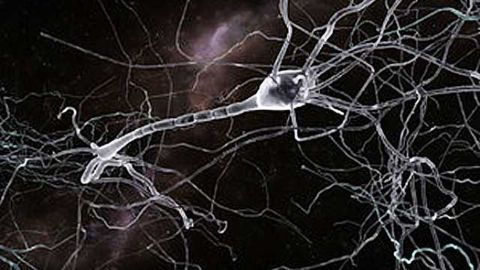 People can raise pain threshold by altering brain chemistry, study shows