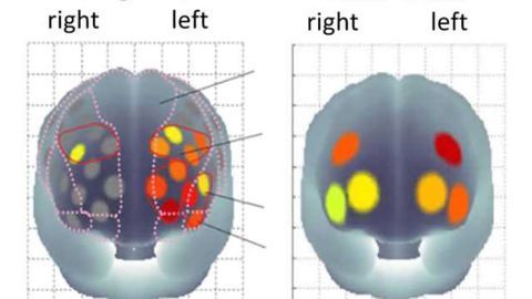 Active body, active mind: the secret to a younger brain may lie in exercising your body