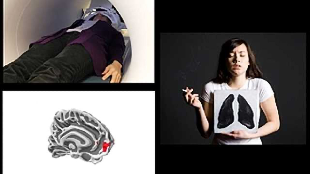 Brain imaging can predict the success of large public health campaigns