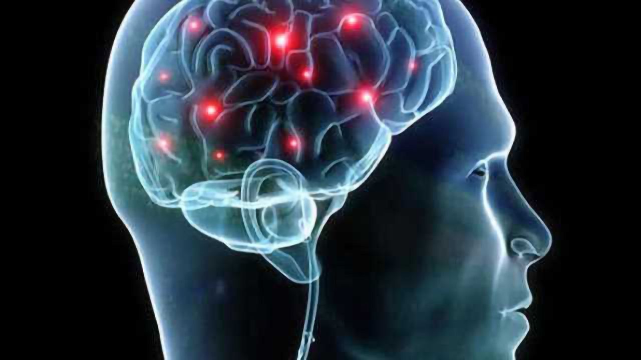 Working memory: Underlying processes are more complex than we thought