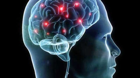 Working memory: Underlying processes are more complex than we thought