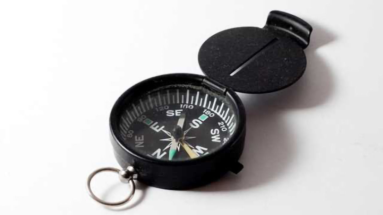 'Inner GPS' study may aid diagnosis of brain diseases
