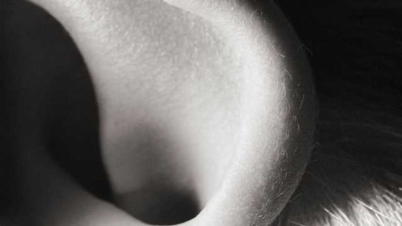 Chemotherapy-induced hearing loss affects neurocognition in pediatric brain tumor survivors