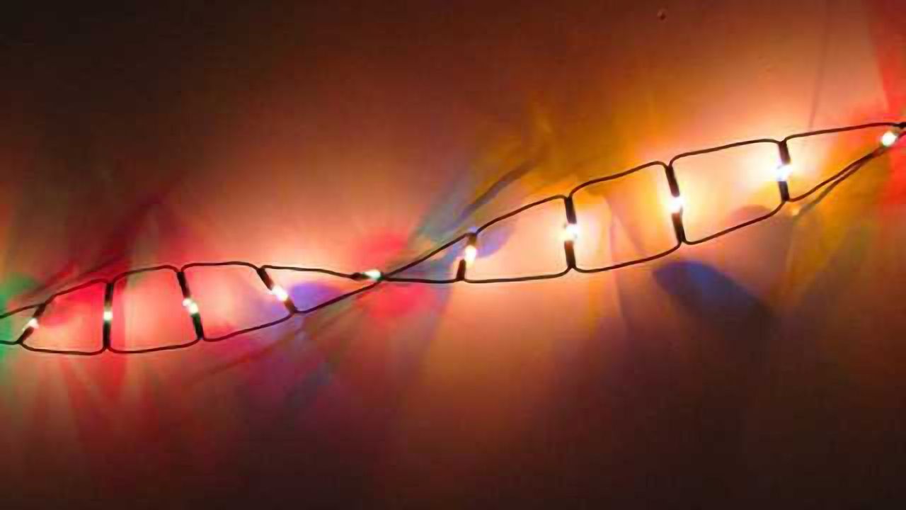 New way to find DNA damage
