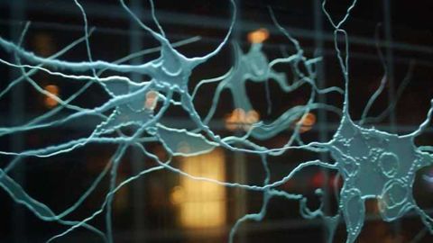 Team finds long-sought protein sensor for the ‘sixth sense’—proprioception