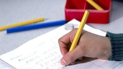 Intellectual disabilities share disease mechanisms, study suggests