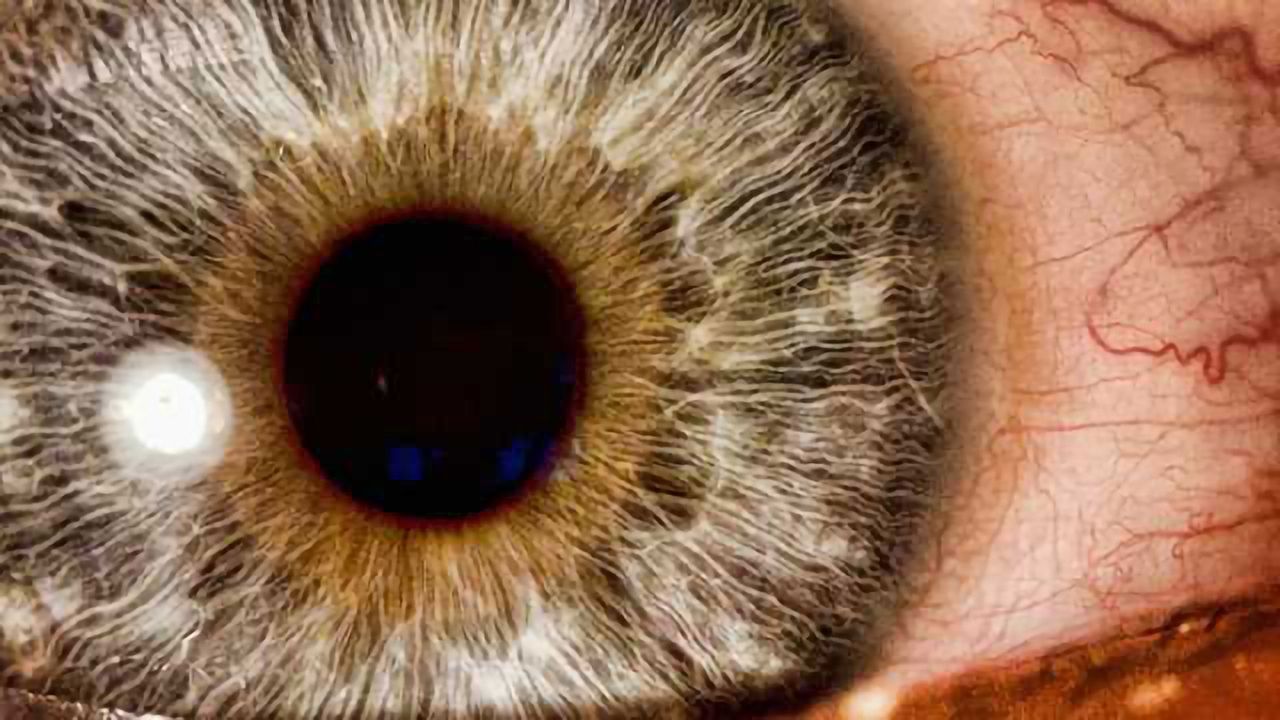 Faster brain waves make shorter gaps in the visual stream