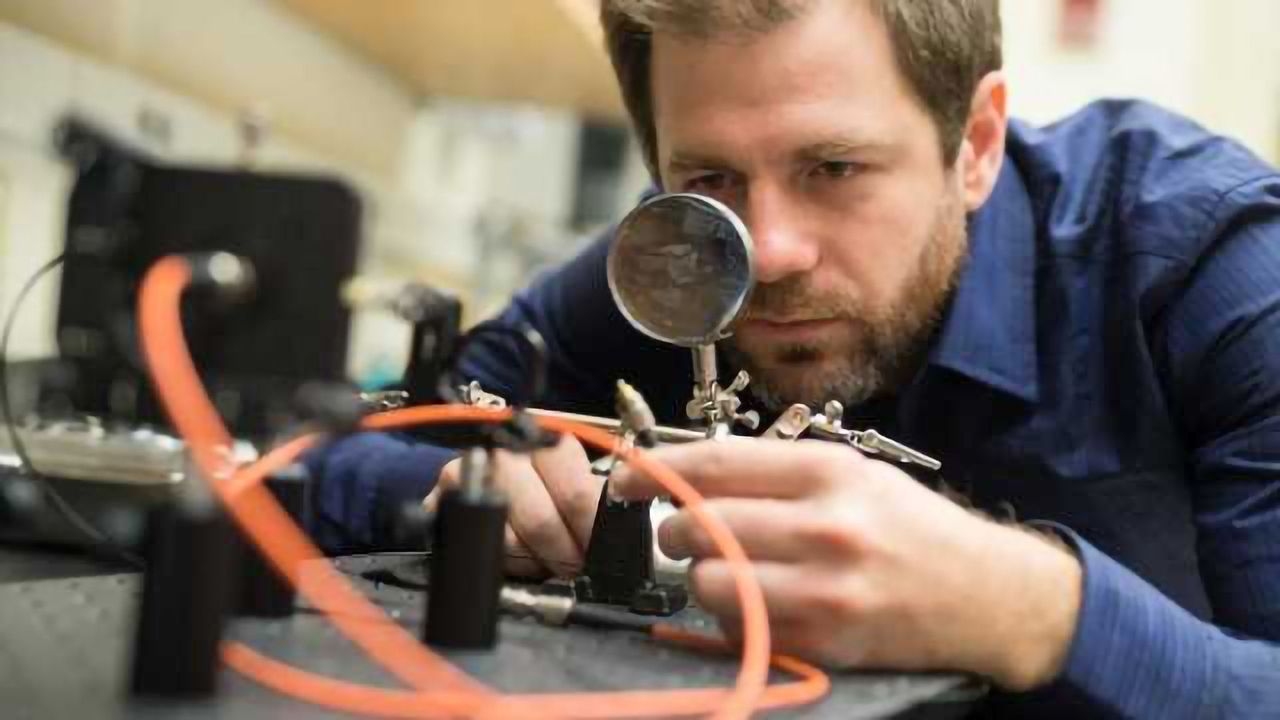 Scientists unravel brain circuits involved in cravings